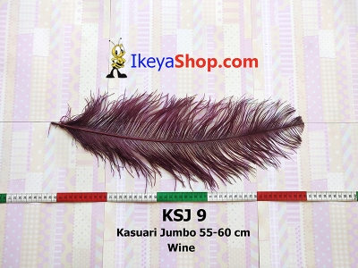 KSJ 9  large2
